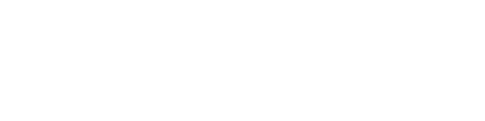 The Noob Web Developer